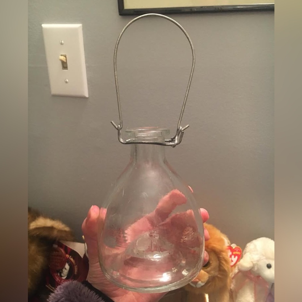 Vintage Wasp/ bug trap